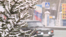 В Алтайском крае сегодня выпал снег, но уже завтра потеплеет