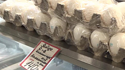 Справедлива ли цена на куриные яйца в магазинах Алтайского края?