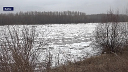 Сегодня днём в Бийске на Бии начался ледоход