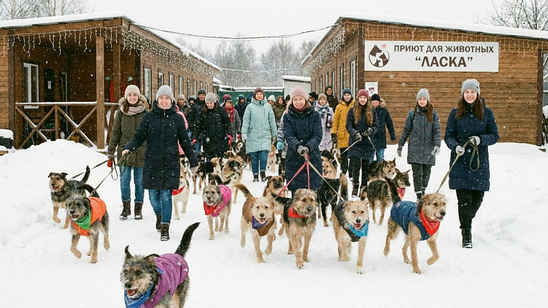 Барнаульский приют для животных «Ласка» сегодня отмечает 24 день рождения