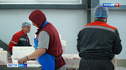 В Алтайском крае готовятся к подведению итогов аграрного сезона