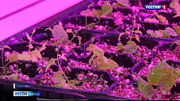 Алтайские учёные готовы взять ответственность за российское пивоварение