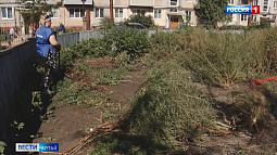 Рубцовск постепенно преображается к своему юбилею