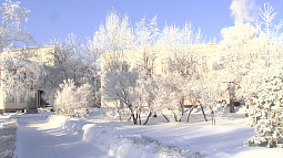 Зимняя сказка в Барнауле: иней украсил деревья