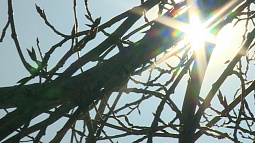 Настоящая весна запаздывает с приходом на Алтай