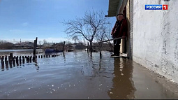 Режим чрезвычайной ситуации введён в Баевском районе