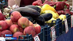 Какие продукты предлагали сегодня барнаульцам на продовольственных ярмарках?