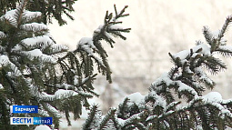 Какая погода будет в Алтайском крае на Новый год?