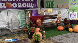 В Барнауле прошёл праздник урожая «Чудо-овощ»