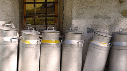 В Алтайском крае снижается производство молока и сметаны