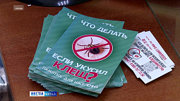 В Алтайском крае зафиксировали снижение активности клещей