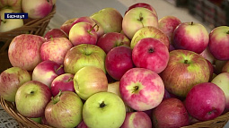 Воспитанникам детских домов подарили 400 килограммов яблок