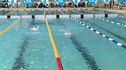 Алтайские пловцы подводят итоги уходящего года на  дорожках  барнаульского бассейна «Обь»