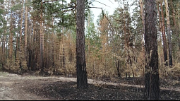 Циклон повернул на восток и ушёл к Байкалу