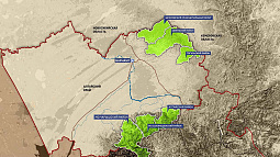 Депутаты АКЗС предлагают запретить добычу россыпного золота в шести муниципалитетах Алтайского края