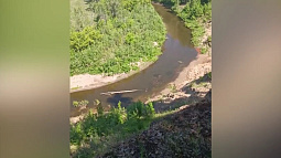 В Алтайском крае орнитологи зафиксировали сигнал GPRS-датчика чёрного аиста, пропавшего два года назад