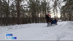 Барнаульские ракетчики устроили для первоклассников путешествие в сказку на военной машине