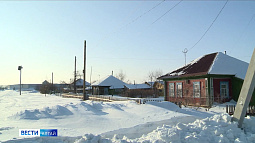 В Алтайском крае ещё на 3,5 недели продлили охоту на лис