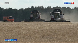 Алтайский край подтвердил звание «Житница России»