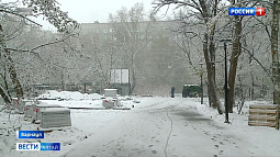 Около 9000 деревьев и кустарников высадили в Барнауле в этом году