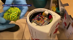 В Барнауле задержали жителя Новосибирской области