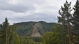 Алтайские законодатели попросят Роснедра запретить добычу россыпного золота в шести районах края