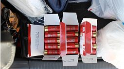 Россияне едут в Казахстан через Алтайский край с оружием и боеприпасами