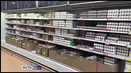 По итогам 2023 года на Алтае стали производить больше куриных яиц