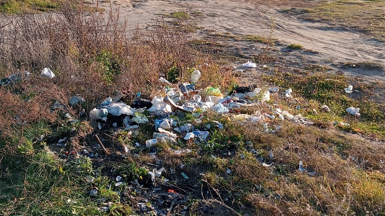 В Камне-на-Оби девушка-волонтёр регулярно убирает мусор с берега озера Рица