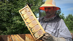 В Алтайском крае начались первые в этом году качки мёда