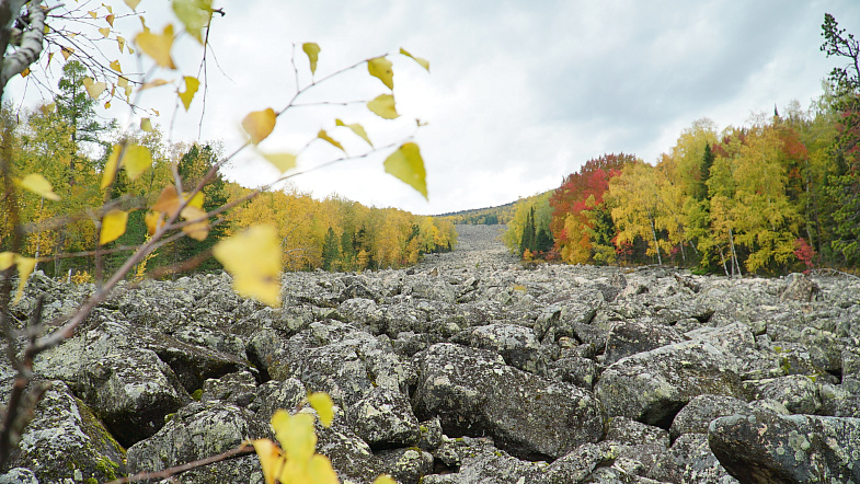 В Алтайском крае туристы смогут увидеть, как «текут» каменные реки