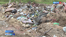 На ликвидацию незаконной свалки в Белокурихе потратят 42 млн рублей