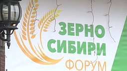 Первые итоги уборочной кампании и прогнозы рынка зерна прозвучат сегодня в Барнауле