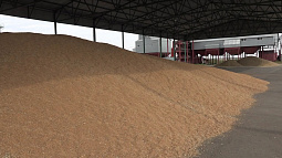 Знаменитый алтайский макаронный бренд «Гранмулино» сменил собственника