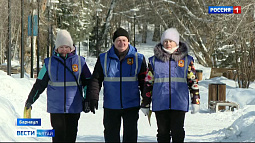 Сегодня – День создания добровольных народных дружин