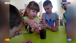 Детей, серьёзно увлекающихся экологией, наградят на краевом форуме «Экология. Творчество. Успех»