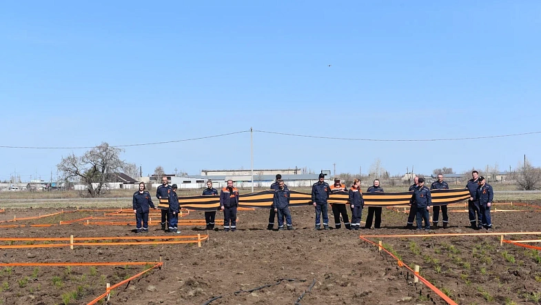 В окрестностях Кулунды высадили деревья в виде надписи «Энергия Победы»