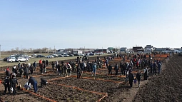 В окрестностях Кулунды высадили деревья в виде надписи «Энергия Победы»