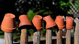 В Алтайском крае поставили на паузу земельные споры