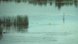 Сегодня на Алтае открывается летне-осенний сезон охоты