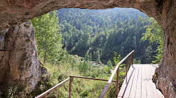 Фонд «Денисова пещера» потратит 1,2 млн рублей на лекции для молодёжи