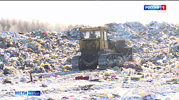 Почти 240 кг мусора в год выкидывает один житель Алтайского края