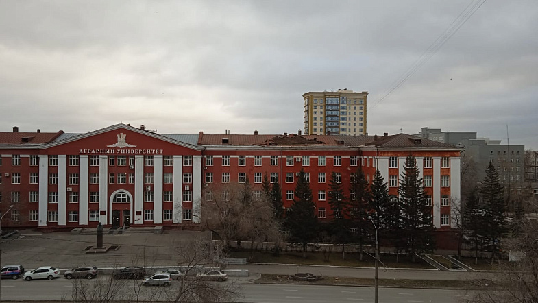 Последствия урагана на Алтае 19 ноября: сильный ветер срывает кровли домов, валит деревья