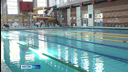 В Бийске провели первенство по плаванию