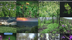 У национального парка «Салаир» и Тигирекского заповедника появился новый сайт