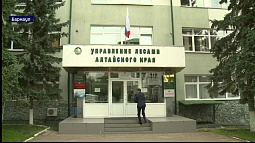 В Барнауле наградили лучших работников лесной отрасли 