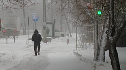 В Алтайском крае объявлено штормовое предупреждение: ожидается усиление ветра 