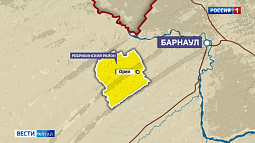 В Алтайском крае вновь нашли бешенство