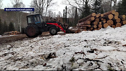 В Алтайском крае будут судить банду «чёрных лесорубов»