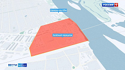 В Камне-на-Оби объявлена массовая вакцинация животных из-за нападения бешеной лисы